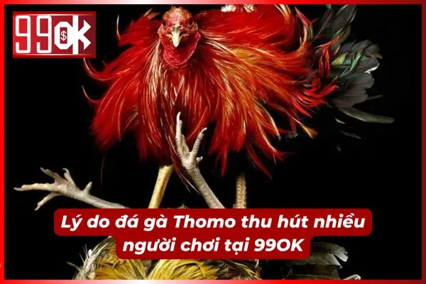 Hàng loạt tính năng vượt bậc của nhà cái 99OK