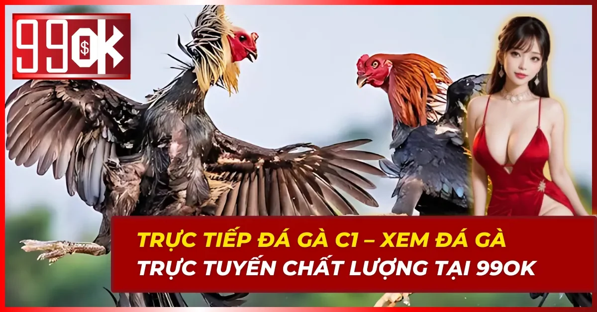 Trực Tiếp Đá Gà C1